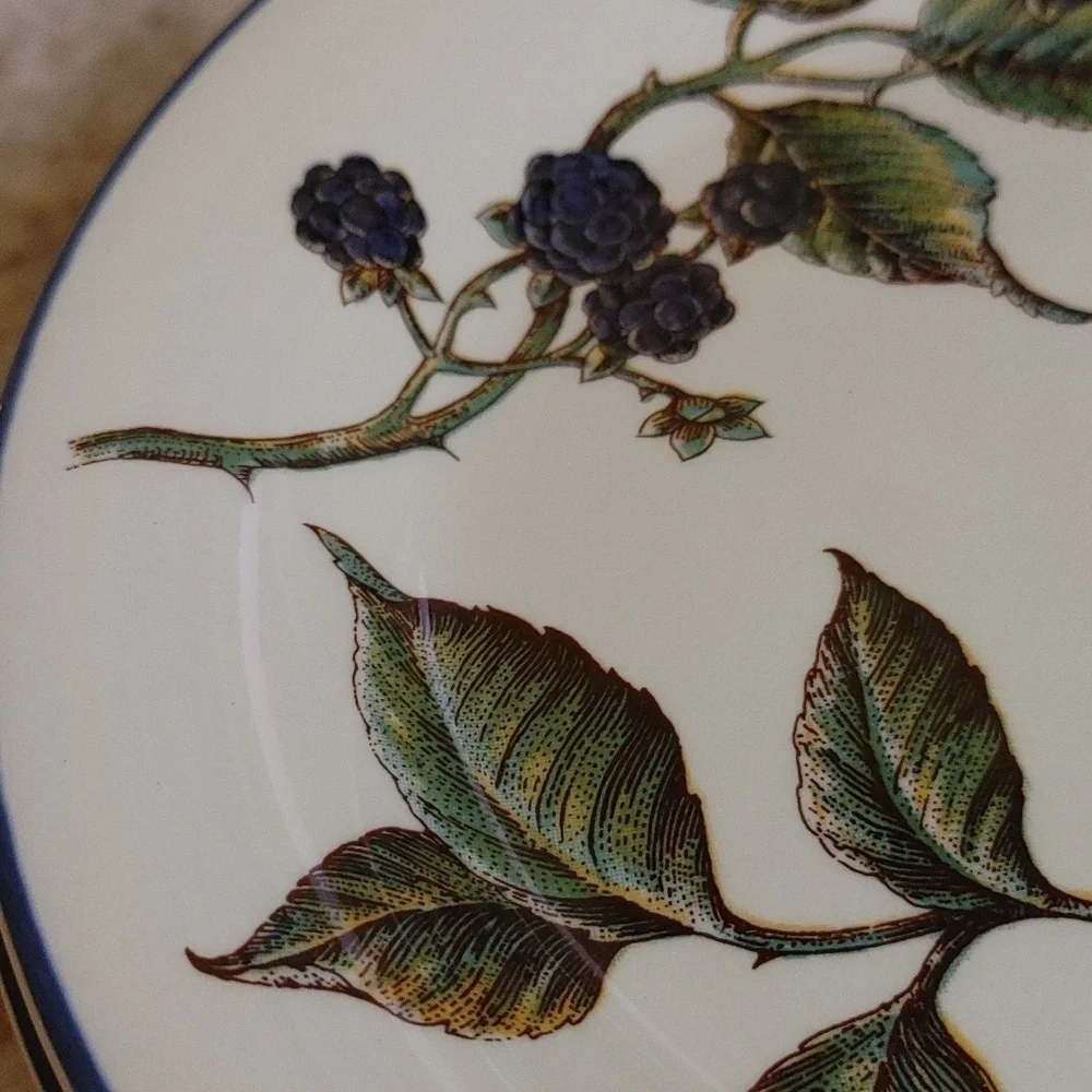4 Pier 1 MACINTOSH Salad Plates